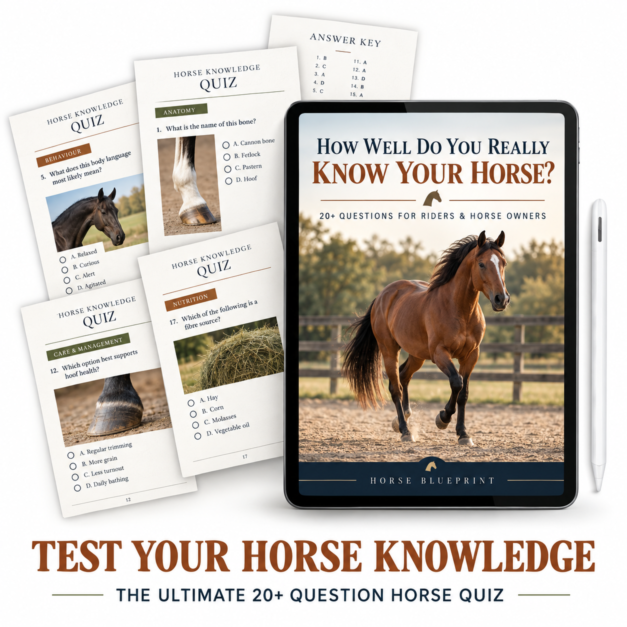 The Ultimate Horse Knowledge Quiz